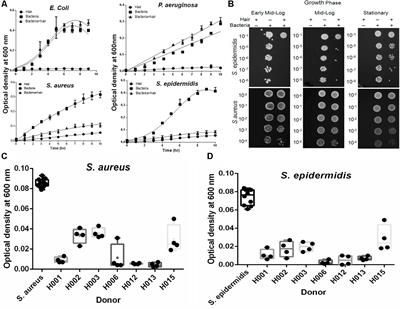 Bacteria Display Differential Growth and Adhesion Characteristics on Human Hair Shafts